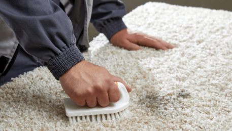 Professional Rug Cleaning Cremorne